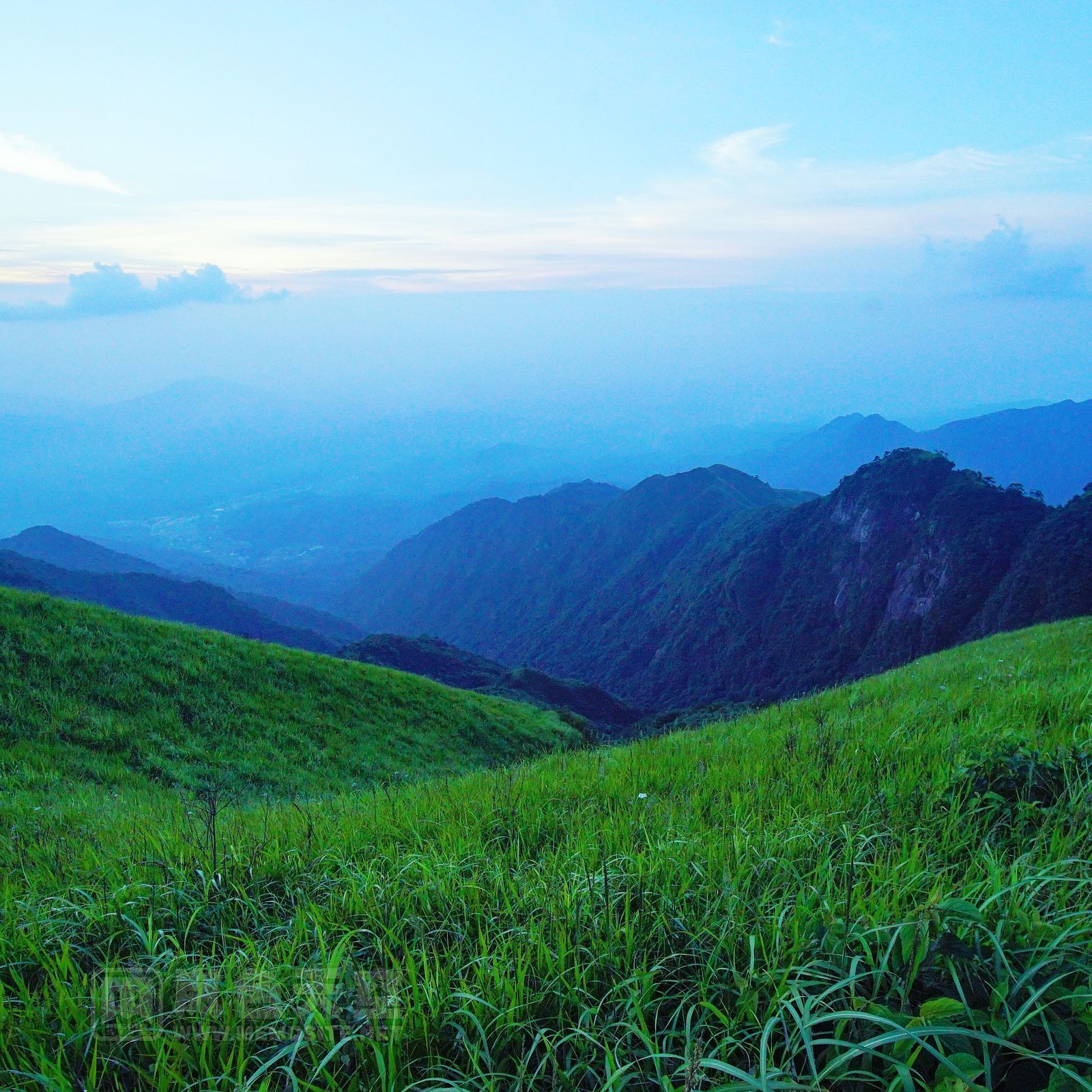 远处的雾气还未散去，已经可以看见淡淡的朝霞