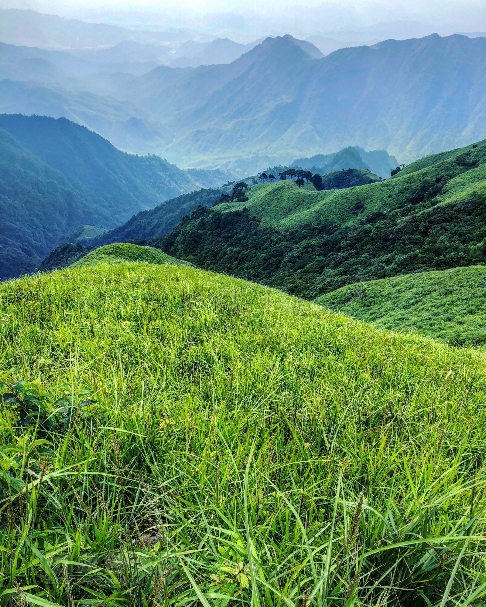 一层层的山峦，真想是侏罗纪公园的外景