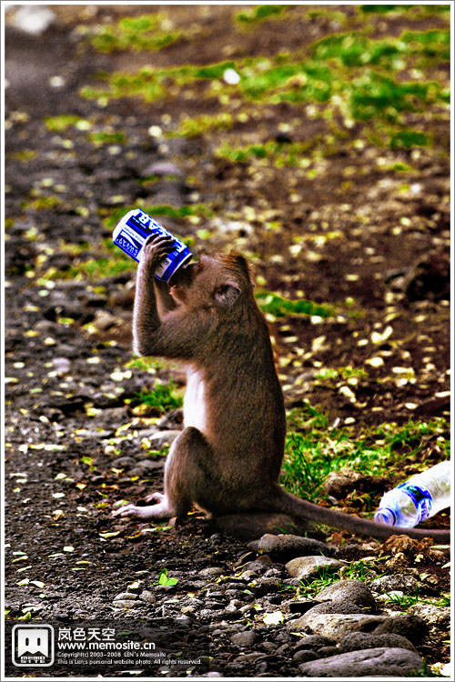 hoho，这个爽啊，找到好东西喝了