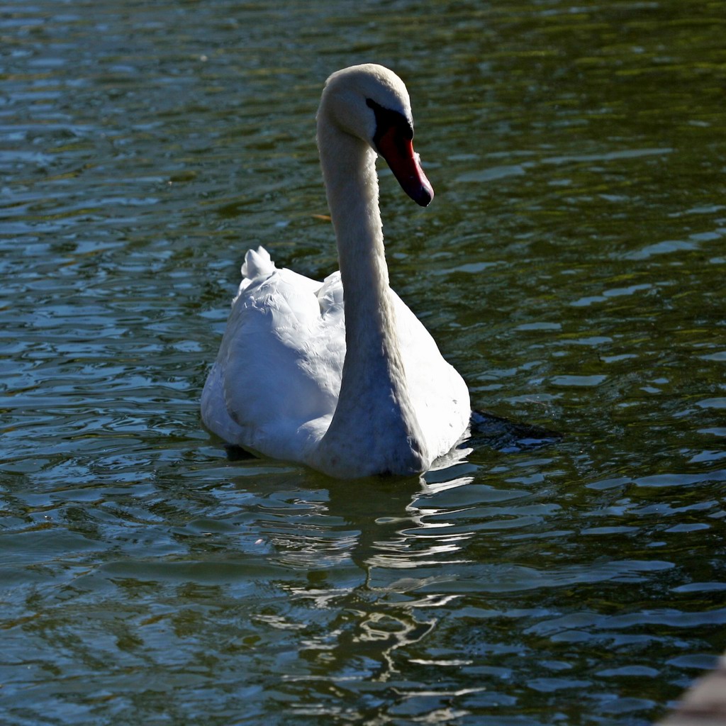 2013europe 034