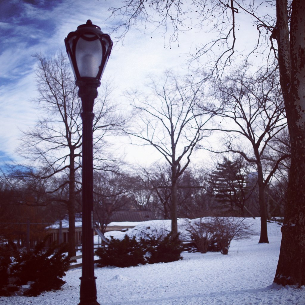 继续在公园漫步