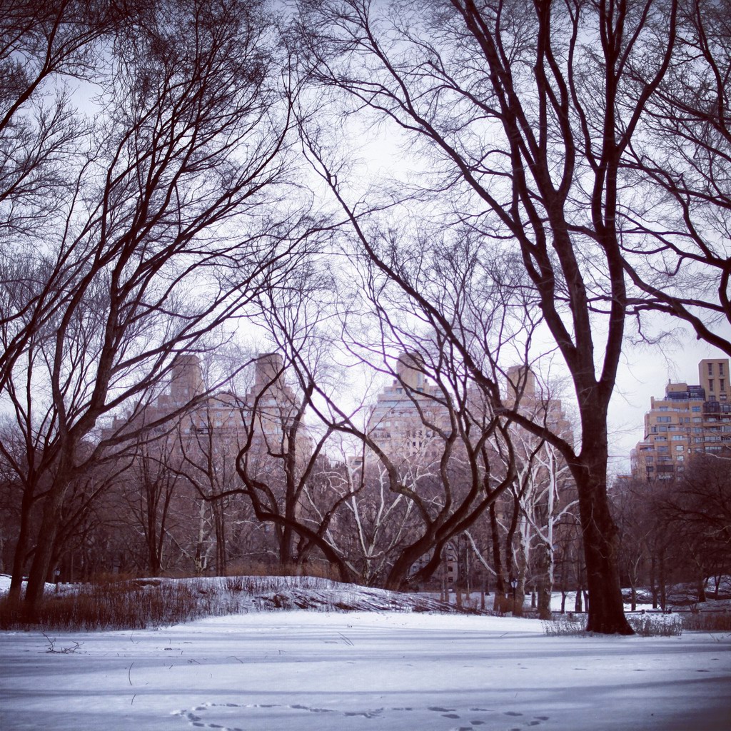 这里的夏天应该也很美吧