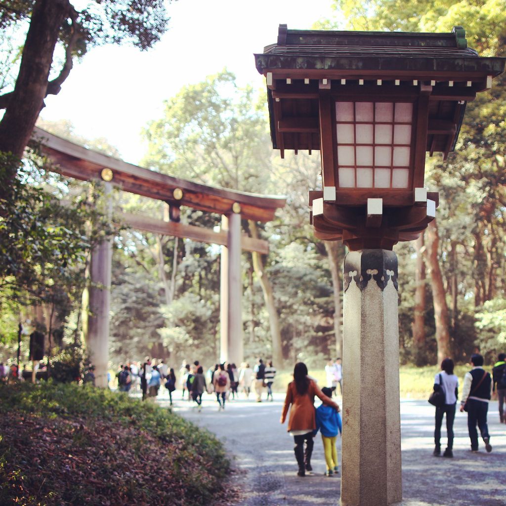 明治神宫的一角