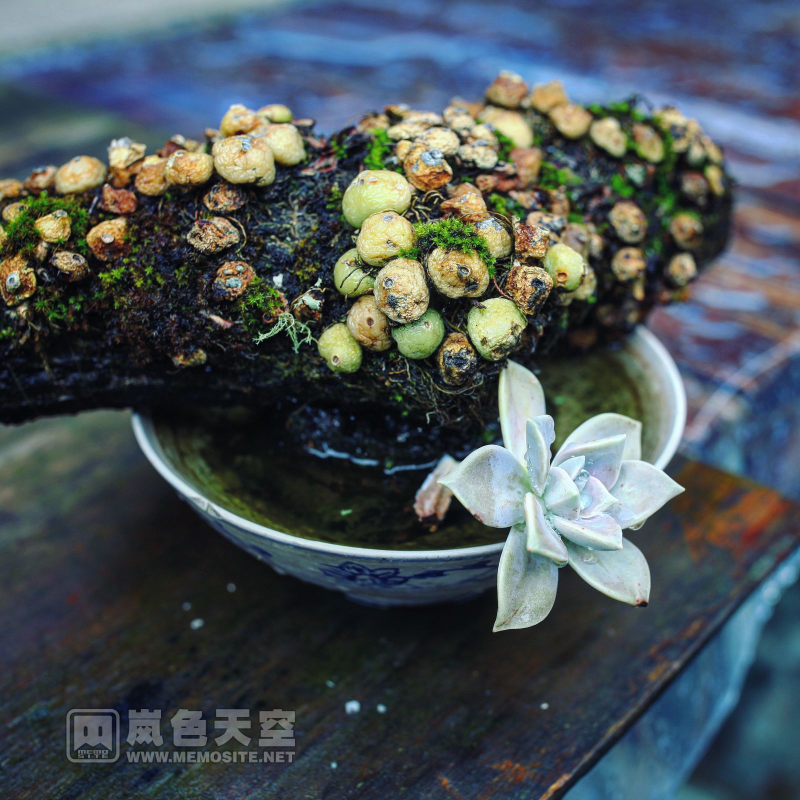 人少的时候,坐在茶室里安静的喝茶看书,透过玻璃欣赏外面的美景,时光仿佛停滞