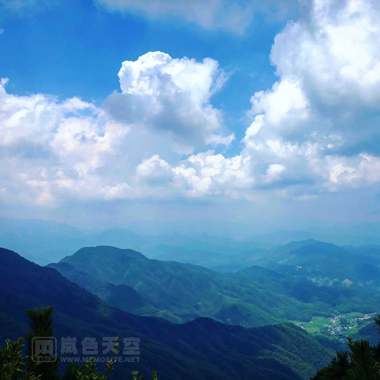 终于翻过了劝退小树林,这下子已经没回头路可走了