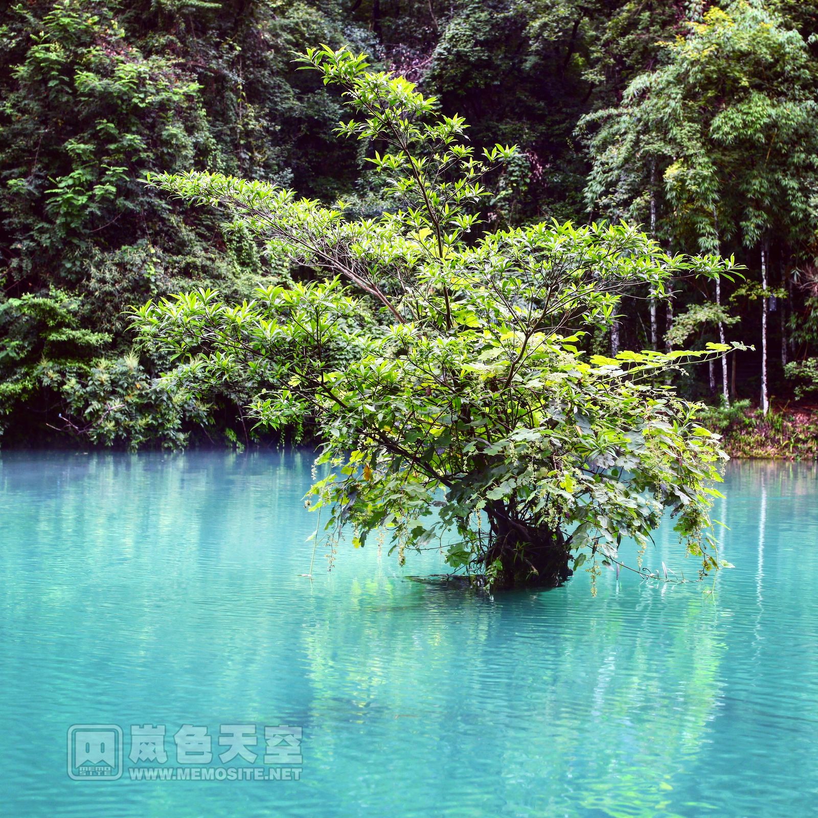 卧龙潭的水色在阴天的光线下由浅入深呈淡蓝、明蓝、暗蓝