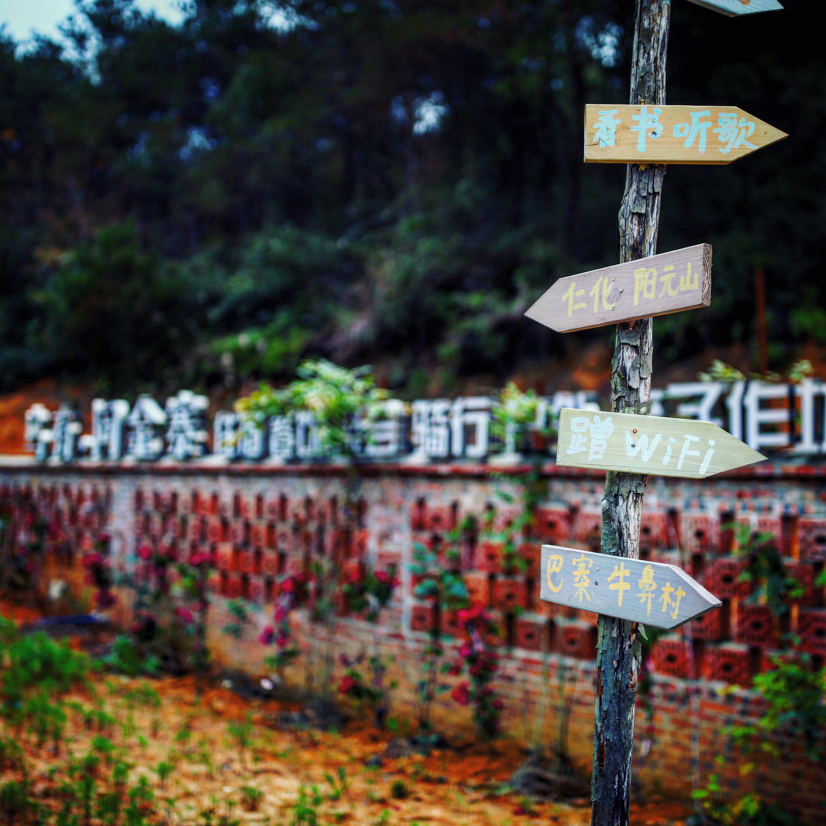 民宿的门口，光看门口还不觉得内有乾坤