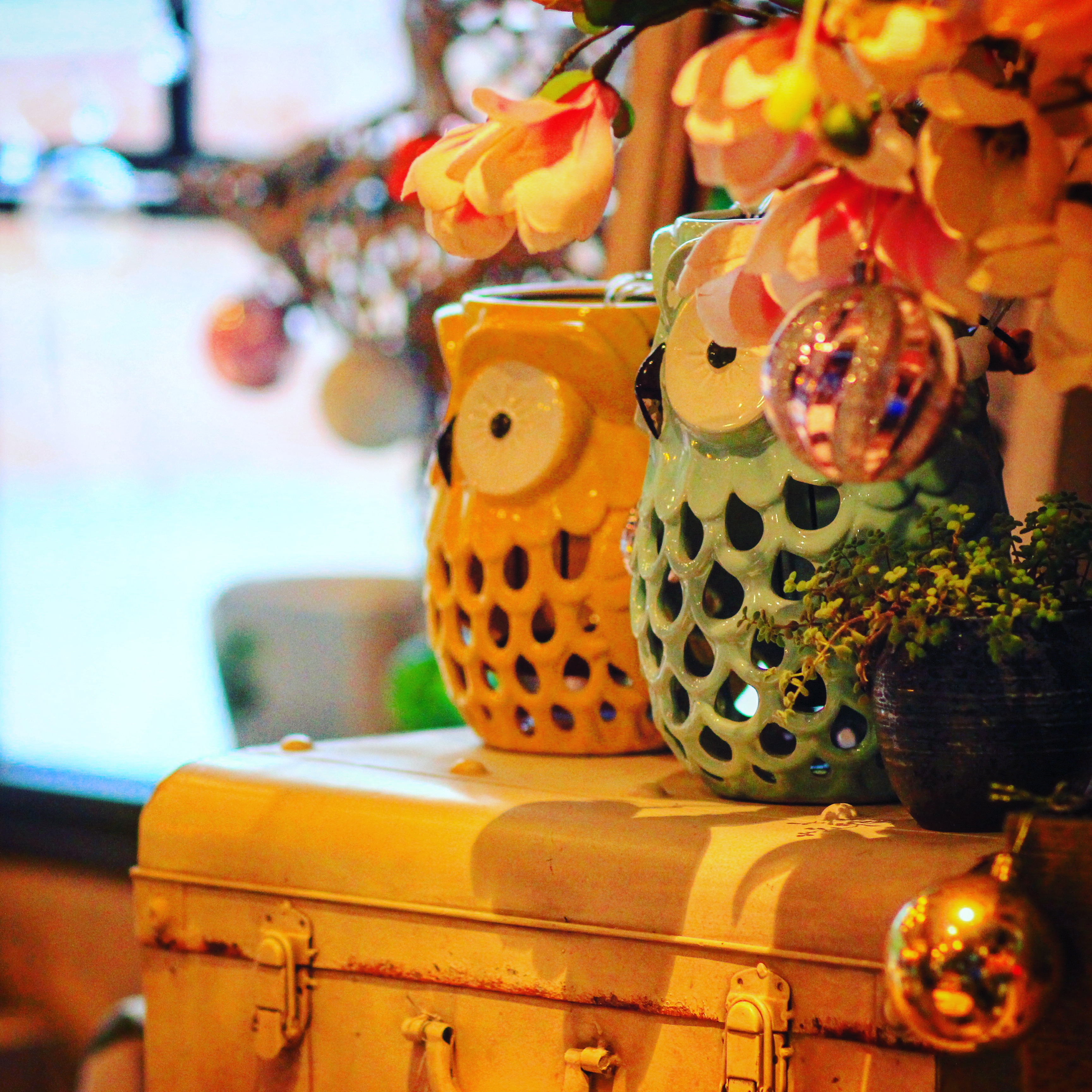 这两个可爱的花盆吸引了我拍了几次