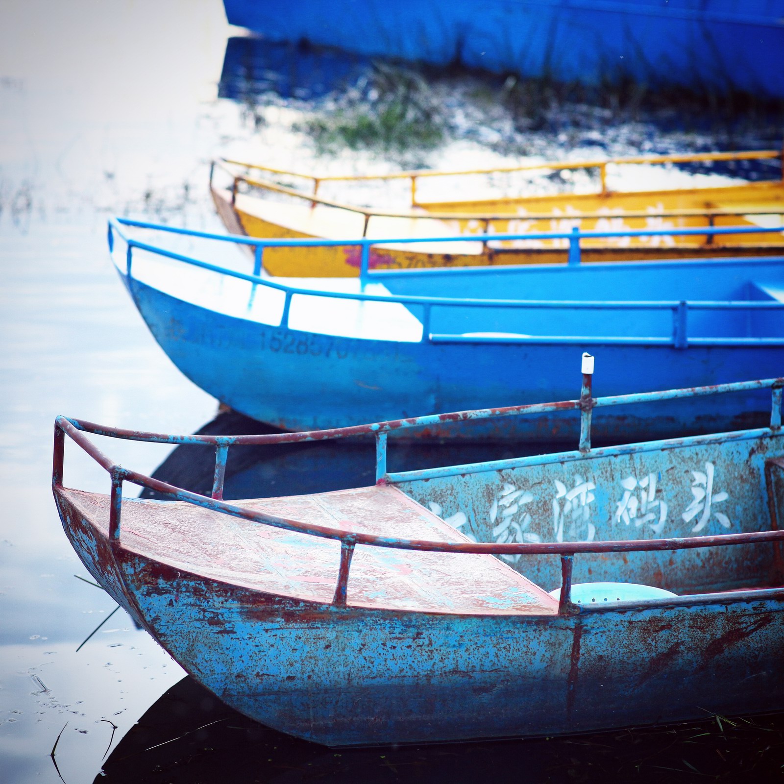 我要看草海！！草草草草草草草草草