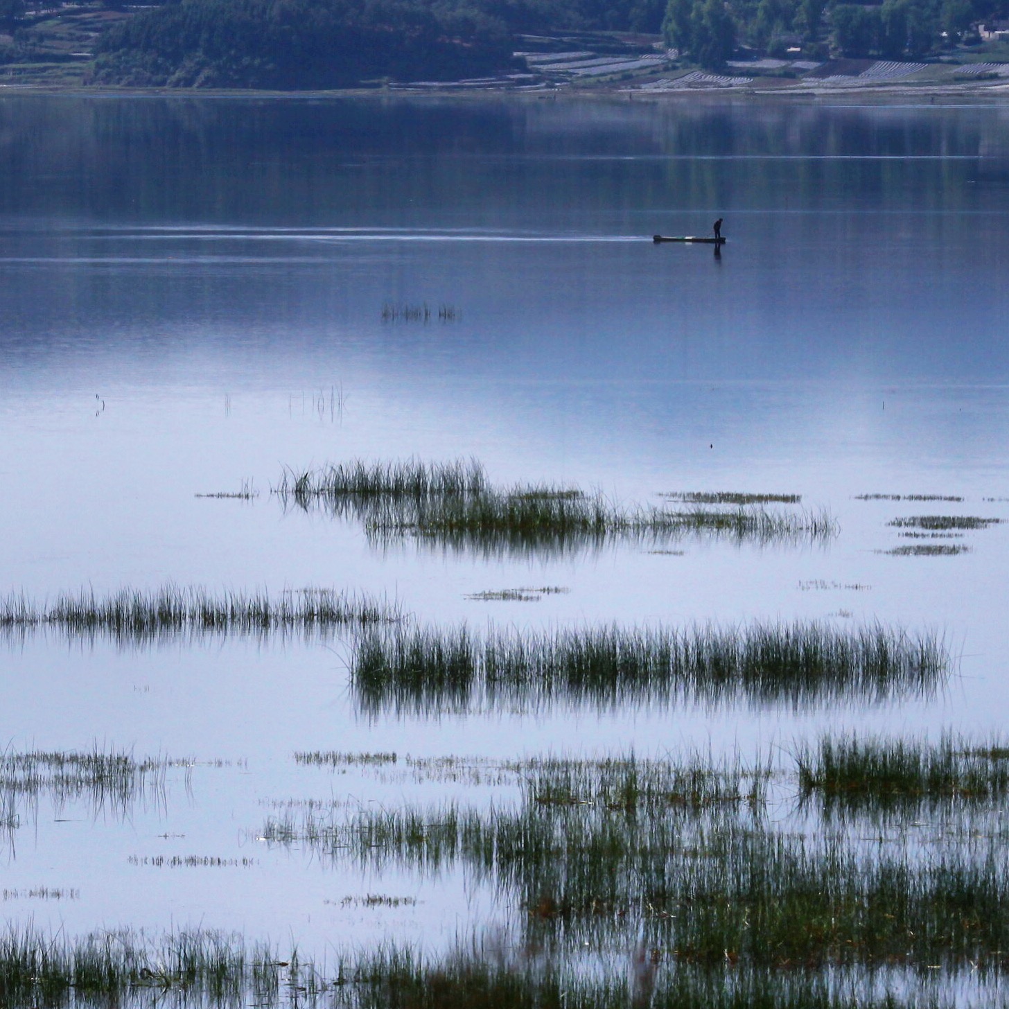 草，海，人 这三者是融合的多和谐