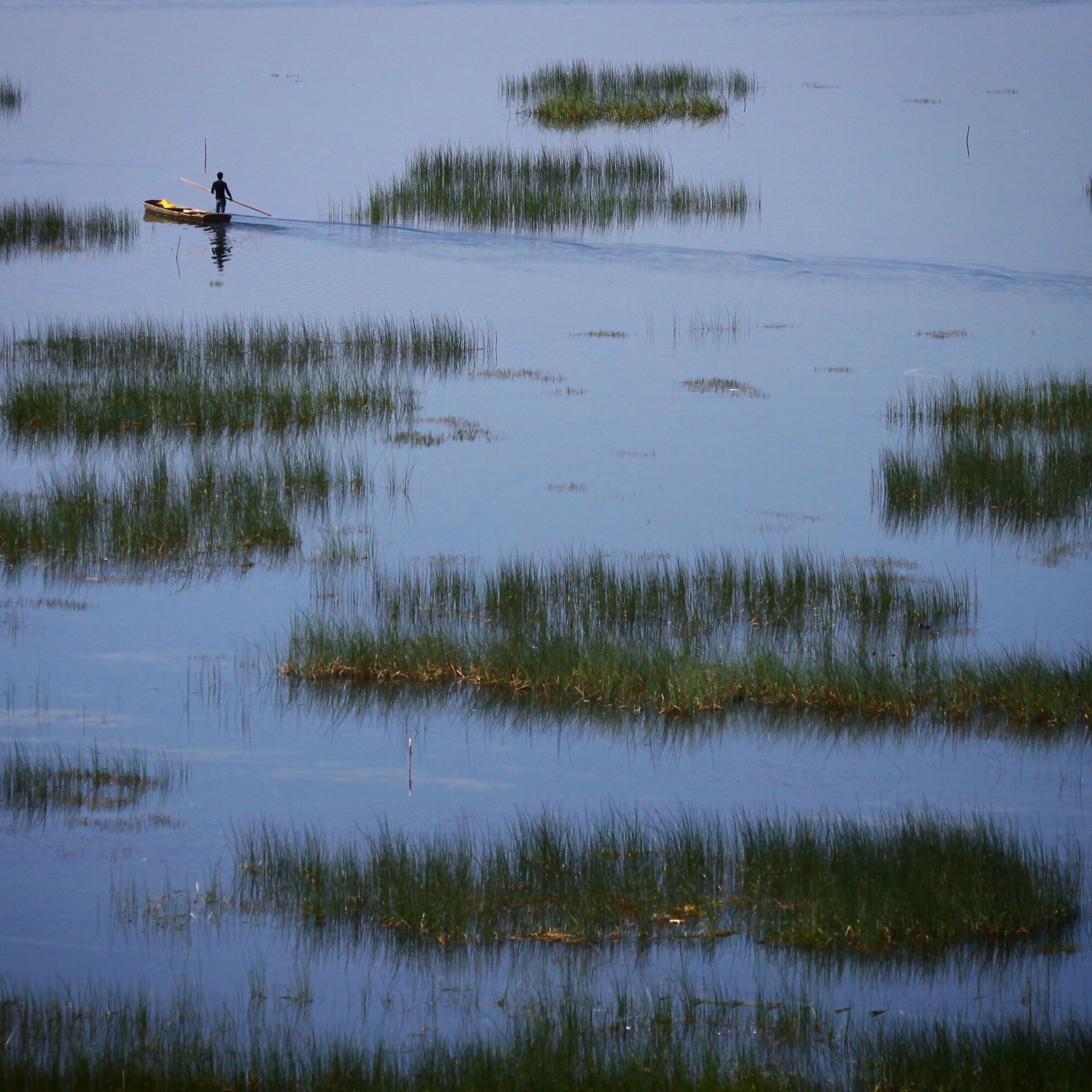 囧 怎么还有一张的？