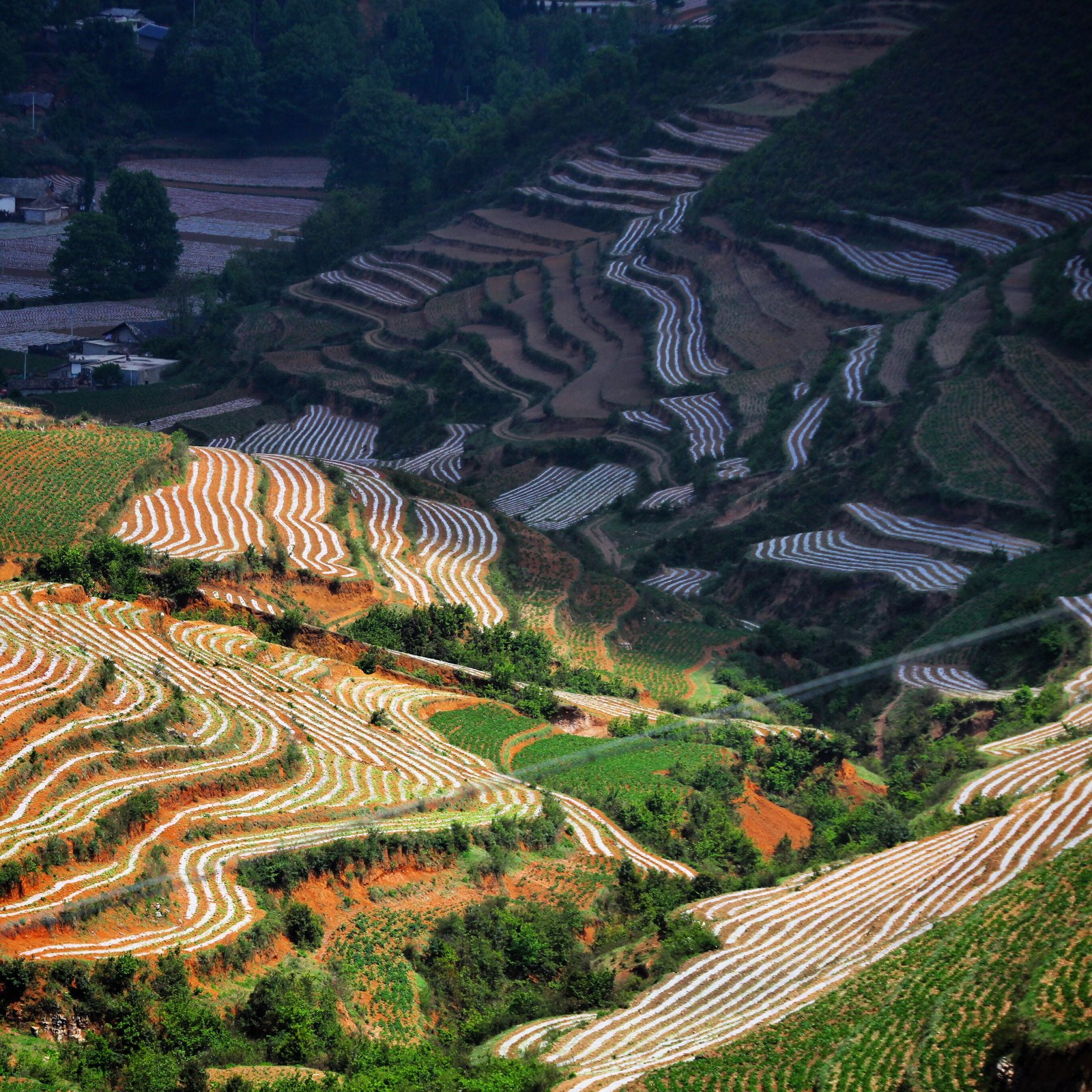 沿路看到壮观的梯田