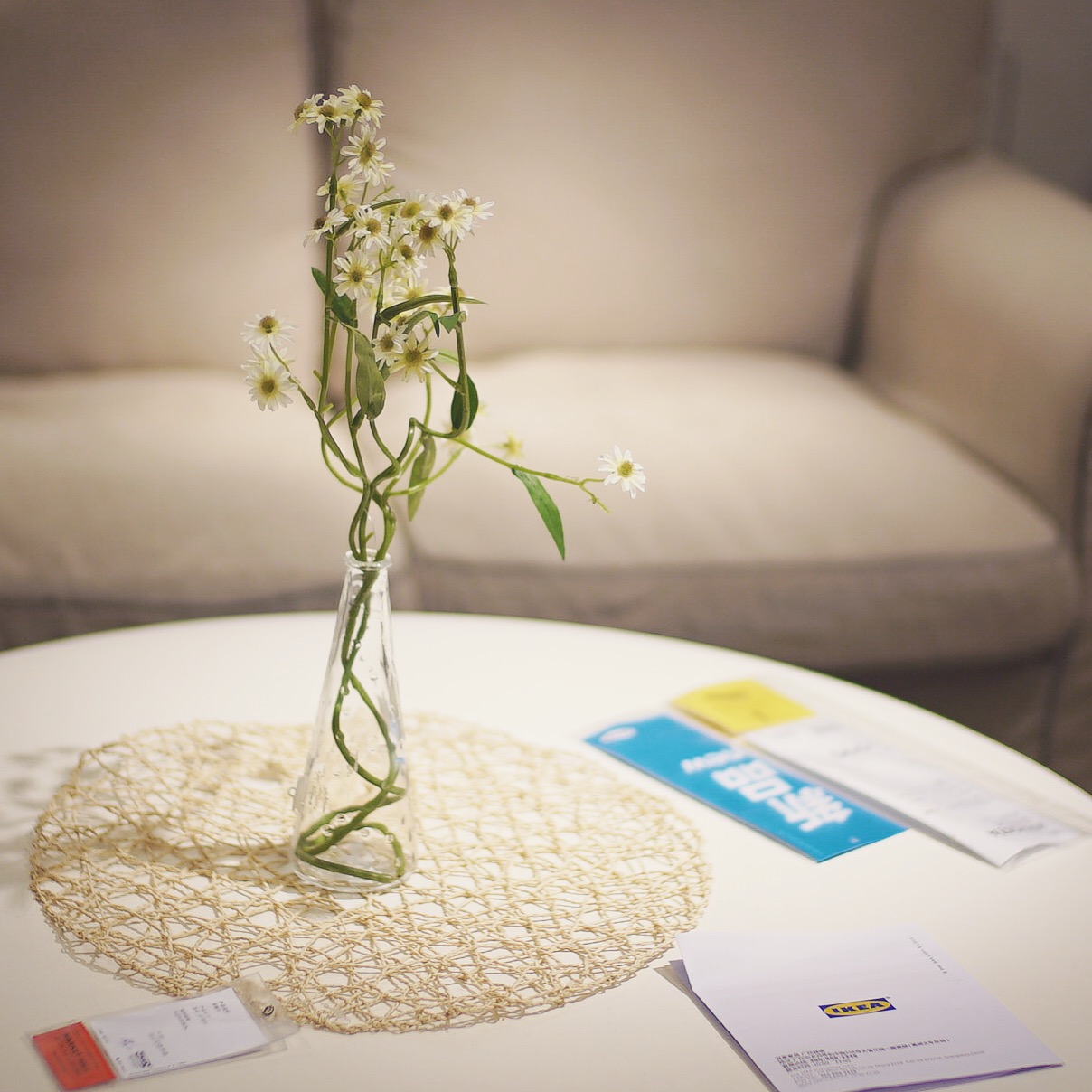 继续摆造型的花