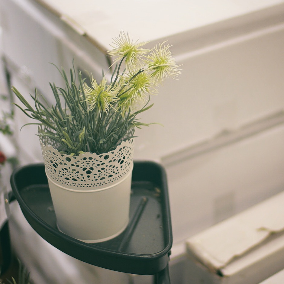 超级典雅的一张，最喜欢这种淡淡的感觉了