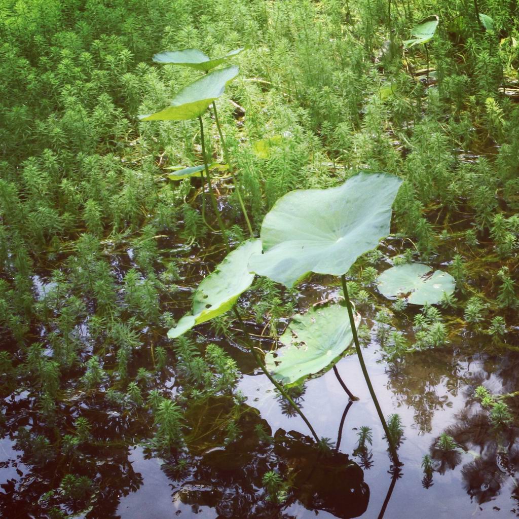 还担心五一节下雨,结果来个小晴天