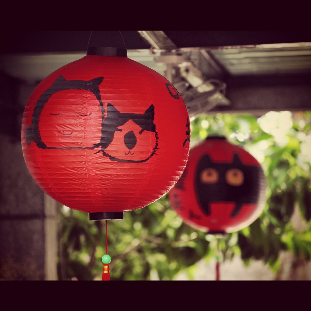 连灯笼上都是猫