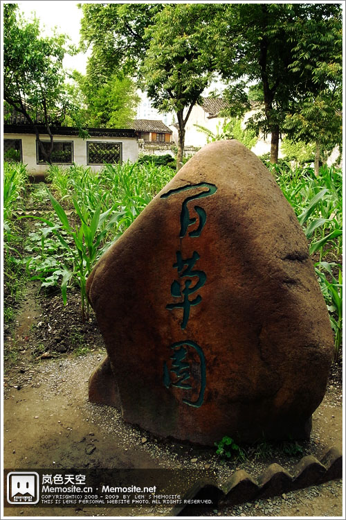 又见课本上的经典——百草园!占地近2000平方米,原来是新台门周姓十来户人家共有的一个菜园,平时种一些瓜菜,秋后用来晒谷。百草园连同周家新台门的房产易主之后,园地的南北两端虽已改变了面貌,而它的主要部分仍基本上保持原样。