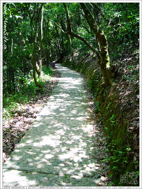 仍旧是上山路,可见帽峰山已经开发得比较完善了