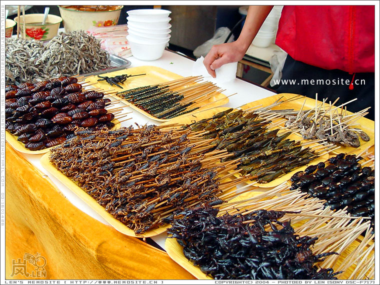 这间就是我挑战自己心理的铺子，满满的都是大大小小的虫子