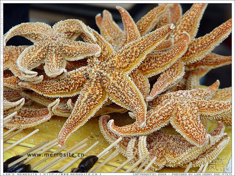 海星，实在想不明白，美食节卖不能即场吃的东西有什么意义？